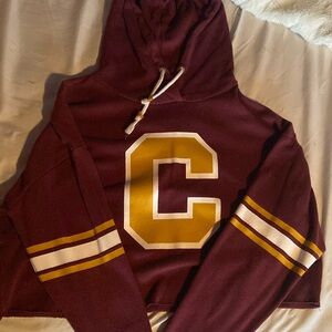 Maroon Forever 21 crop top